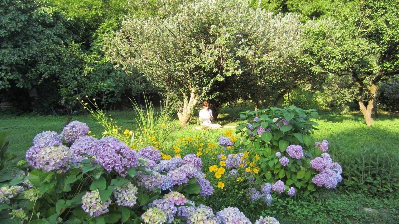 Фото Гостевого дома Место под солнцем Lidzava 5